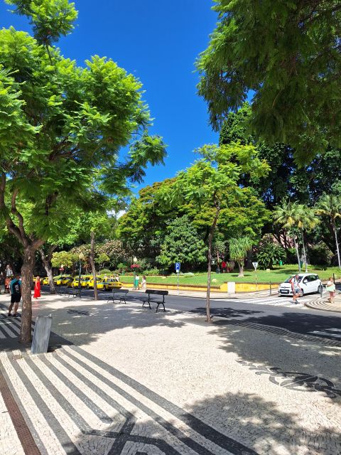 Private Transfer Funchal to Airport