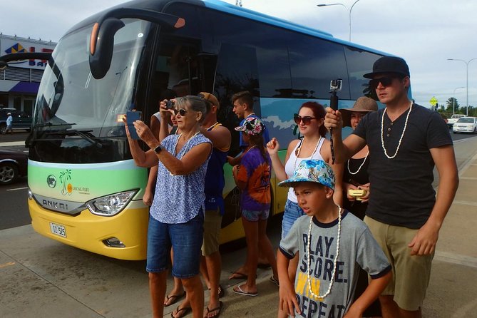 Private Transfer: Nadi Airport to Suva - 5 to 8 Seat Vehicle - Transfer Overview
