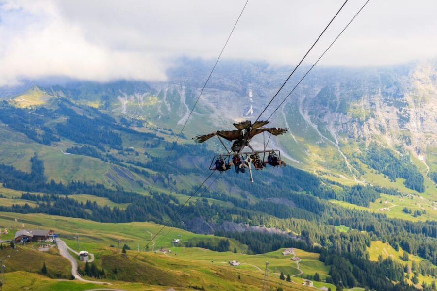 Private Trip From Zurich to Grindelwald & Interlaken