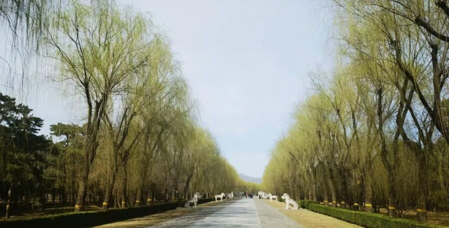 Private Trip to Great Wall+ Ming Tombs With English Driver