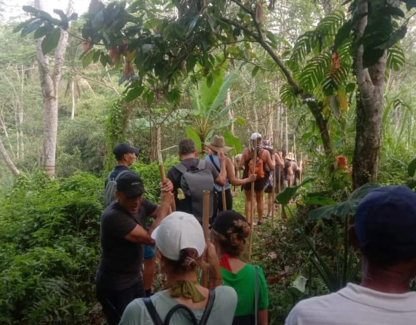 Private: Undisan Village Sacred Forest & Waterfall Trekking