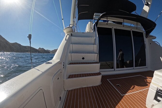 PRIVATE Whale Watching Tour and Snorkeling Tour Cabo San Lucas - Tour Overview