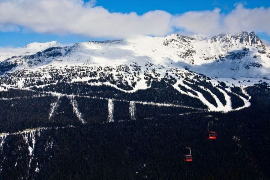 Private Whistler Full Day Tour From Vancouver - Tour Overview and Pricing