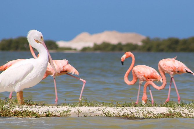 Private Yucatan Discovery Tour