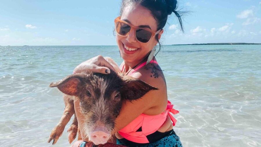 Progreso Island Swing and Pig Beach Club Day Pass - Tour Overview and Pricing