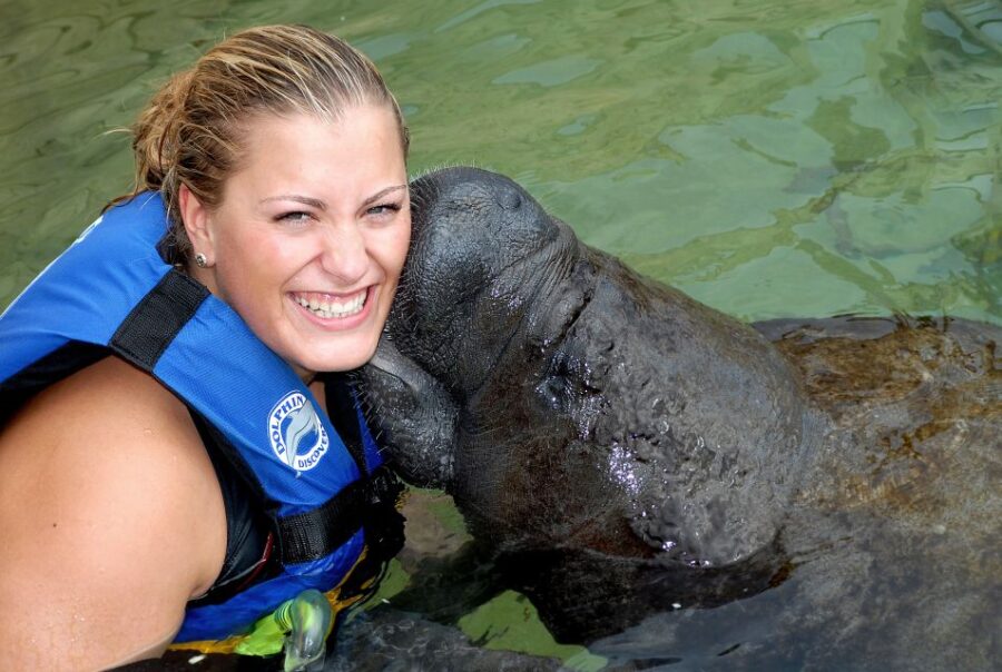 Puerto Aventuras: Manatee Encounter
