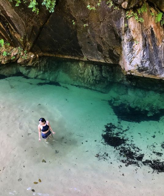 Puerto Vallarta: 4-Hour Jungle Hike and Waterfall Swim