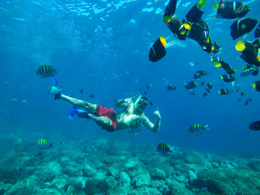 Puerto Vallarta: Boat Tour With Beach Stops & Horseback Ride