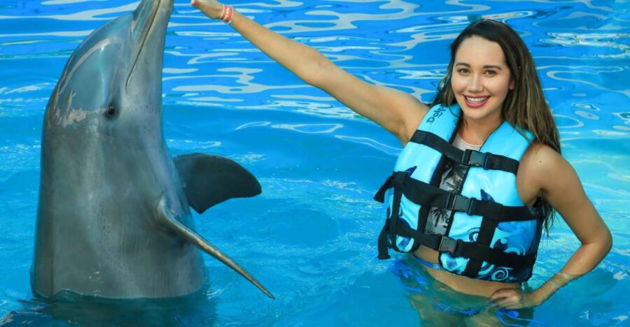 Puerto Vallarta: Dolphin Swimming and Aquaventuras Park