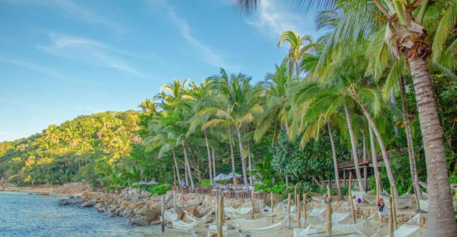 Puerto Vallarta: Las Caletas Beach Hideaway Experience