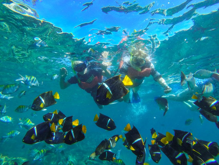 Puerto Vallarta: Luxury Day Sailing Tour of Bay of Banderas