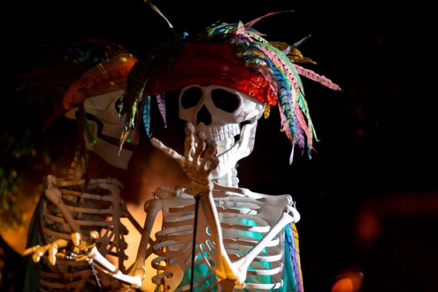 Puerto Vallarta: Rhythms of the Night Cruise & Dinner Show - Overview and Pricing