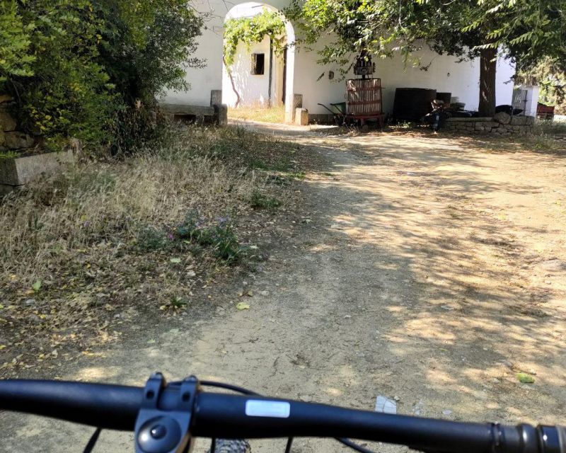 Puglia/Bari: E-bike & Apulia Street Food