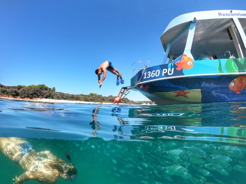 Pula Verudela: Glass-Bottom Boat and Swim With Fish Tour