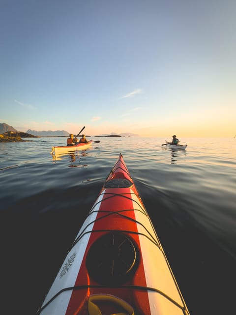 Purpose Paddling Midnight Kayak Tour