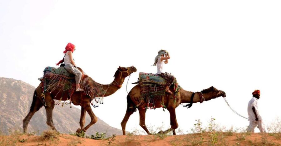 Pushkar Day Trip With Camel Safari From Jaipur by Car.