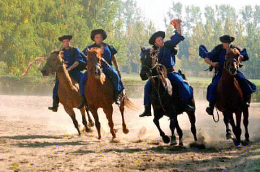 Puszta Full-Day Tour From Budapest With Lunch