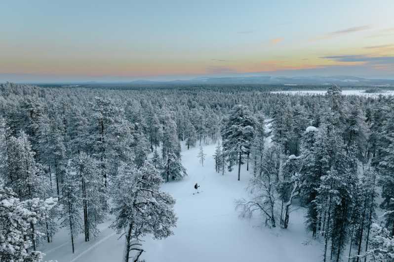 4 Best National Park Tours In Lapland