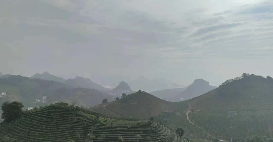 Qixianfeng Tea Plantation Tour in Yangshuo