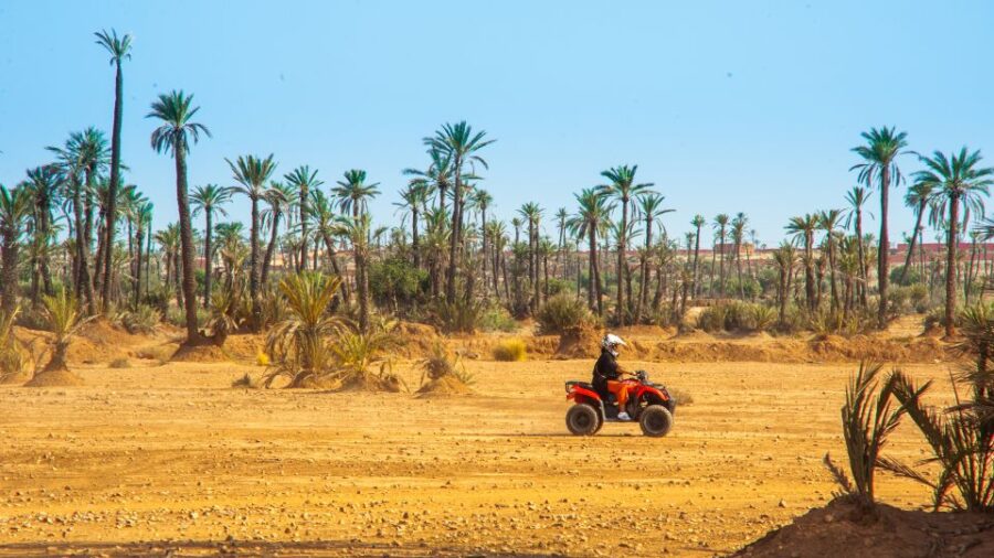 Quad Bike Activity in Marrakech Palmeraie