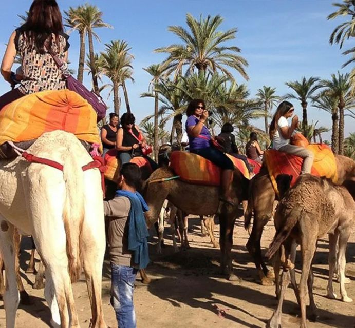 Quad Bike in the Desert & Dromedary Tour