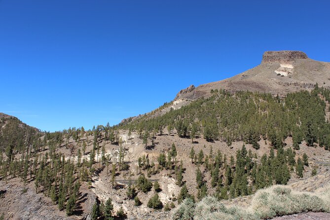 Quad Tour to the Teide National Park (3.5H)