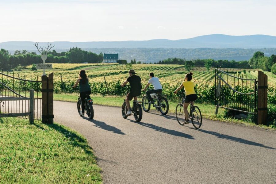 Quebec City: Electric Bike Rental on Ile D’Orléans