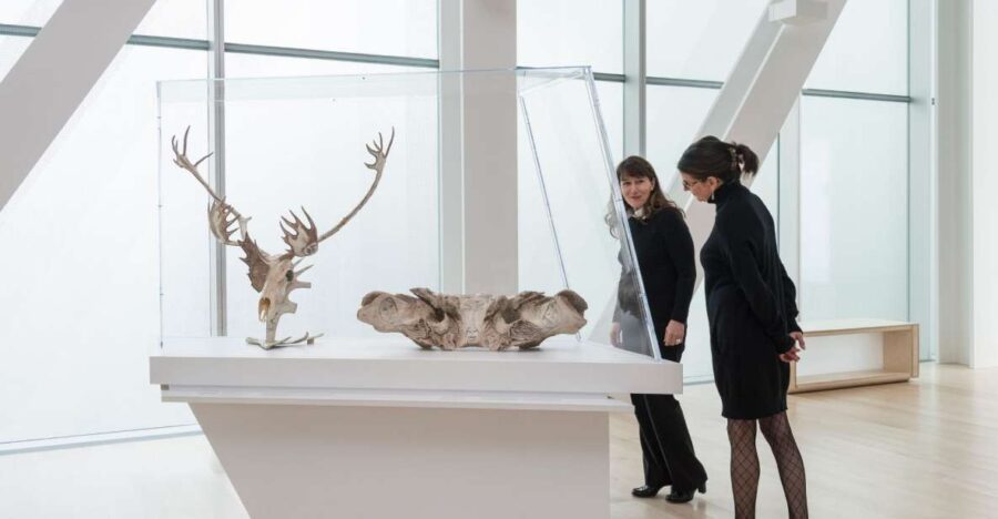 Quebec City: MNBAQ National Fine Arts Museum Entry Ticket - Ticket Details