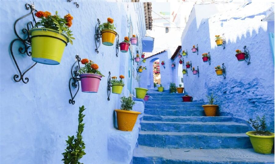 Rabat : Full Day Trip to the Capital City From Casablanca - Trip Overview and Pricing
