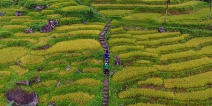 Ramboda: Village Trekking Tour With Authentic Village Lunch!