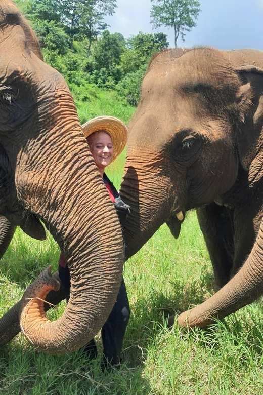 Rantong Elephant Sanctuary, Chiang Mai