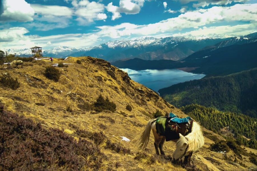 2 Best Tours In Rara National Park