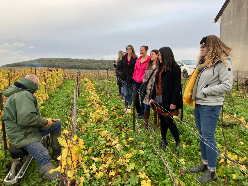 25 Best Wine Tours In Reims
