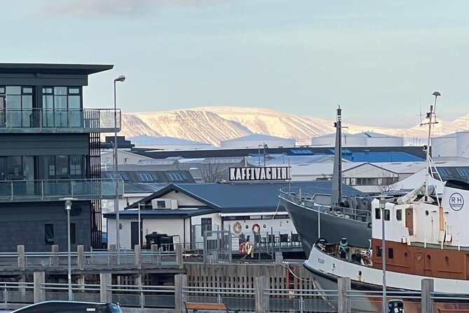 Reykjavik Food Tour - Old Harbor Walking Tour
