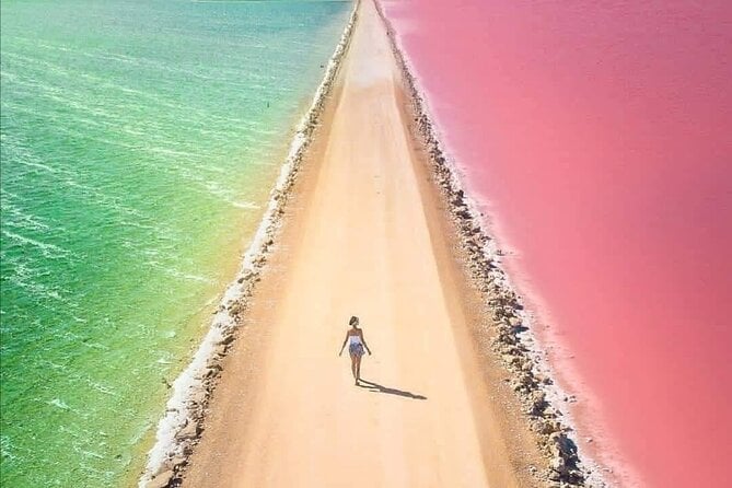 Ria Lagartos, Coloradas & Cancunito Beach From Merida - Tour Overview