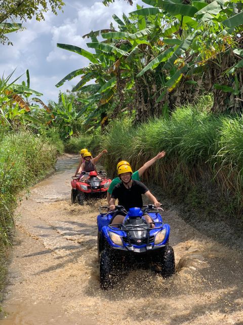 Rice Terraces ,Ubud Adventure Gorila Face ATV & Ravting