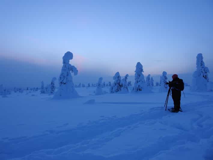 Riisitunturi National Park Private Snowshoe Experience