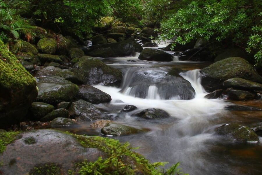 Ring of Kerry: Full-Day Tour From Killarney