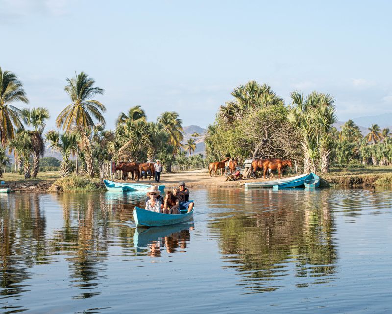 River, Ocean & Sunset Horse Riding Tour - Tour Overview