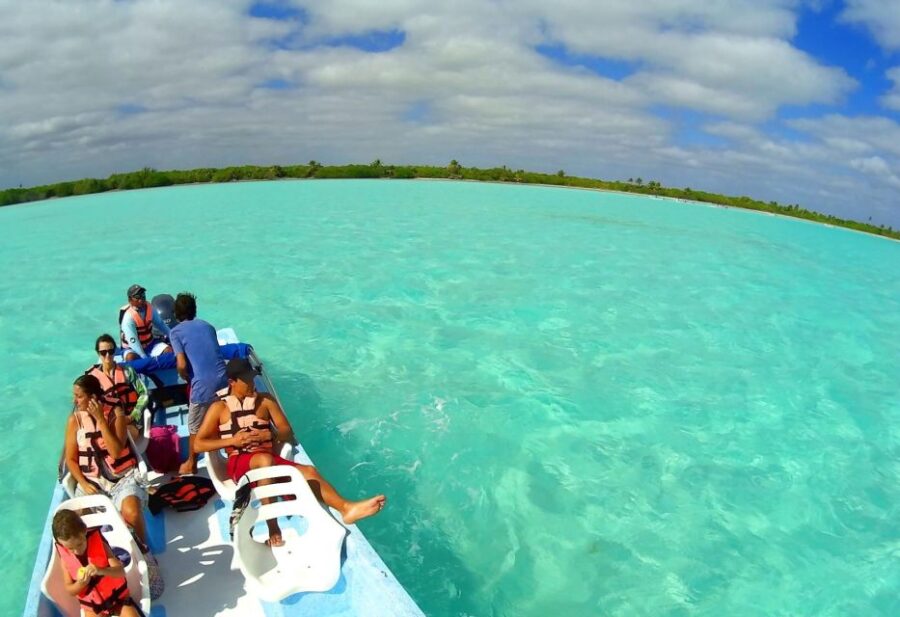 Riviera Maya: Holbox Island Full-Day Trip With Lunch - Overview of the Trip