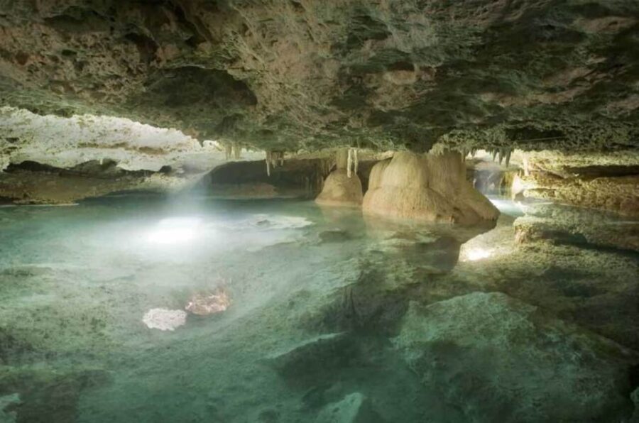 Riviera Maya Horseback Riding Adventure Zip Lines and Cenote - Activity Overview