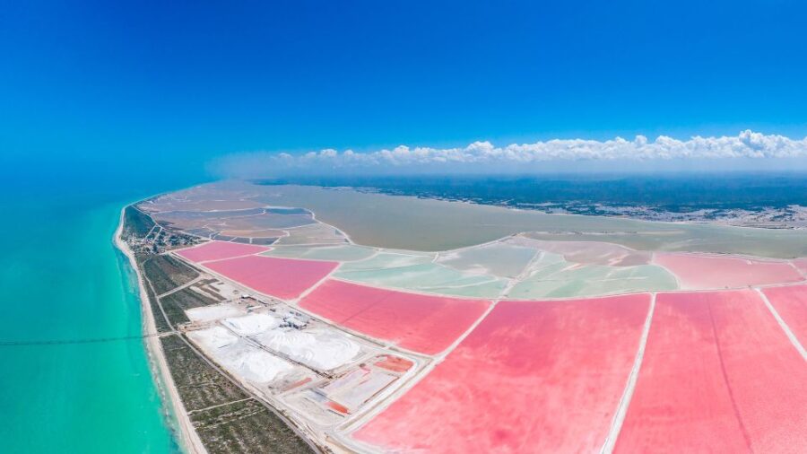 Riviera Maya: Rio Lagartos & Las Coloradas Day Trip W/Lunch - Trip Overview and Pricing