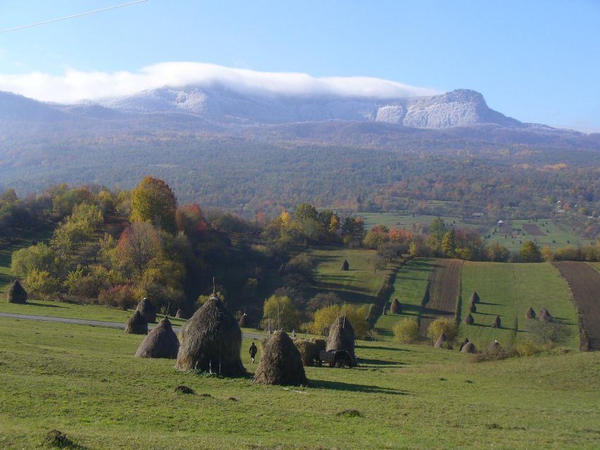 Romania: Private 12 Days Tour With Bed and Breakfast