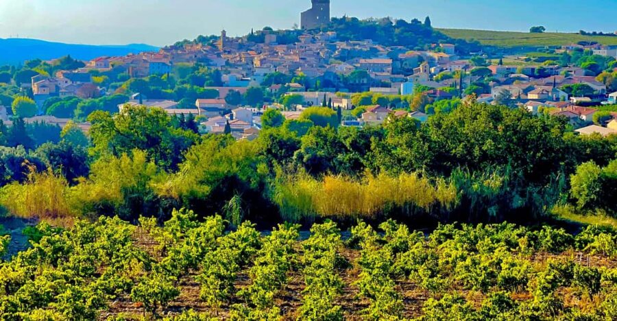 Romans and Wine
