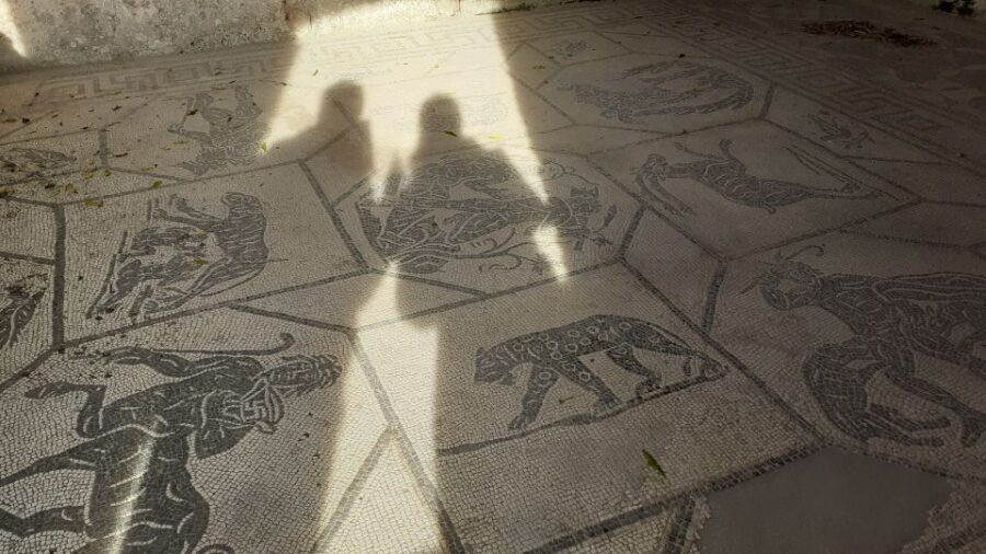 Rome: Ostia Antica Private Guided Tour