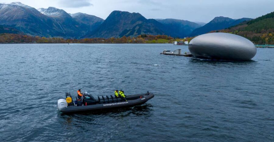 Rosendal Majesty: Exclusive RIB Adventure in Hardangerfjord