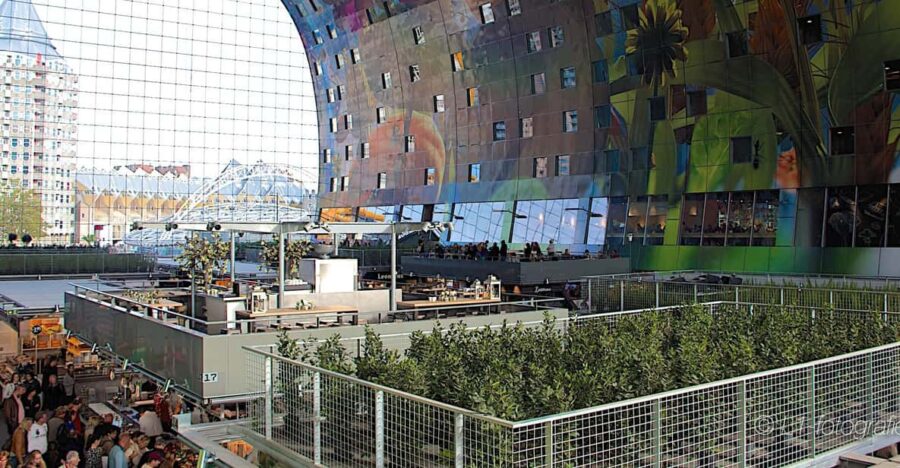 Rotterdam: City Center Walking Tour - Itinerary Highlights