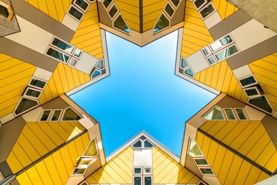 Rotterdam: Insta-Perfect Walk With a Local