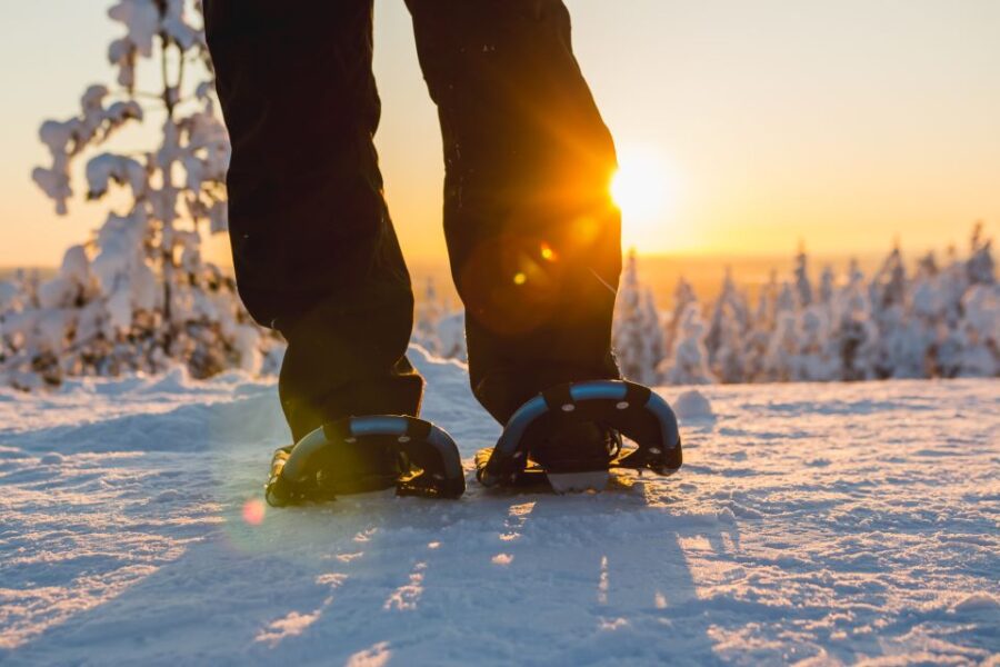 Rovaniemi: Guided Lappish Wilderness Snowshoeing Adventure