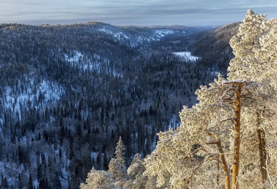 Rovaniemi: Korouoma National Park Canyon & Frozen Waterfalls